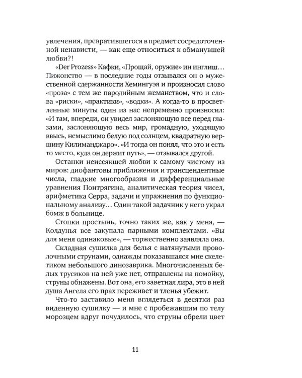 Испепеленный: роман