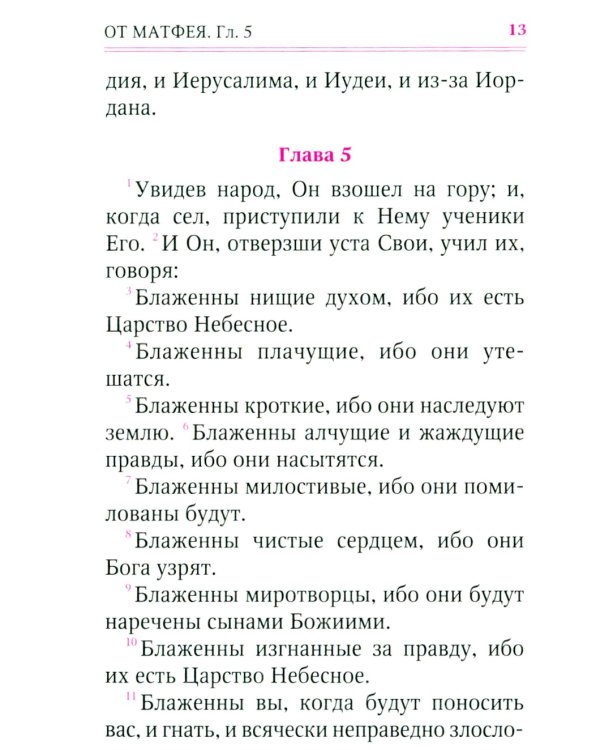 Святое Евангелие (с клапаном на магните, кожа, золот.тиснен.) (коричневый)