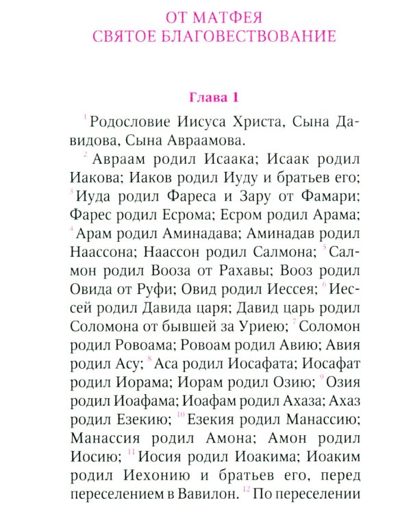 Святое Евангелие (с клапаном на магните, кожа, золот.тиснен.) (коричневый)