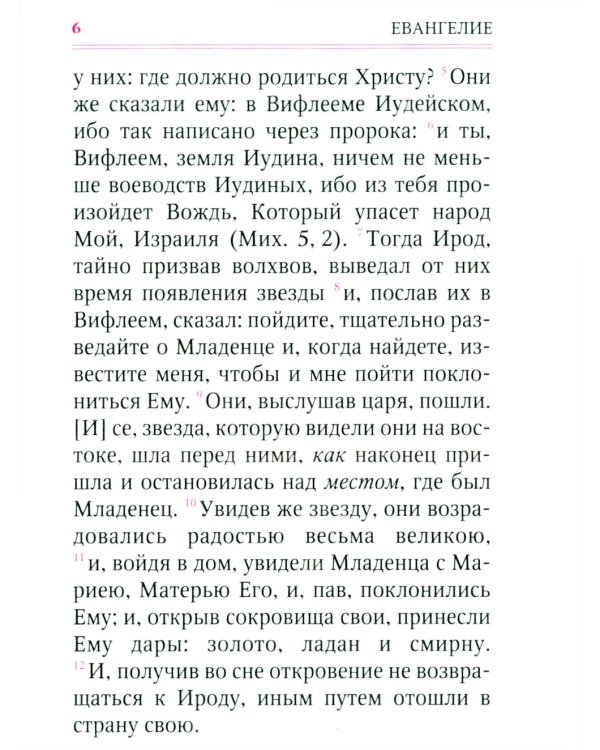 Святое Евангелие (с клапаном на магните, кожа, золот.тиснен.) (коричневый)