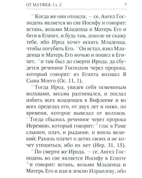 Святое Евангелие (с клапаном на магните, кожа, золот.тиснен.) (коричневый)
