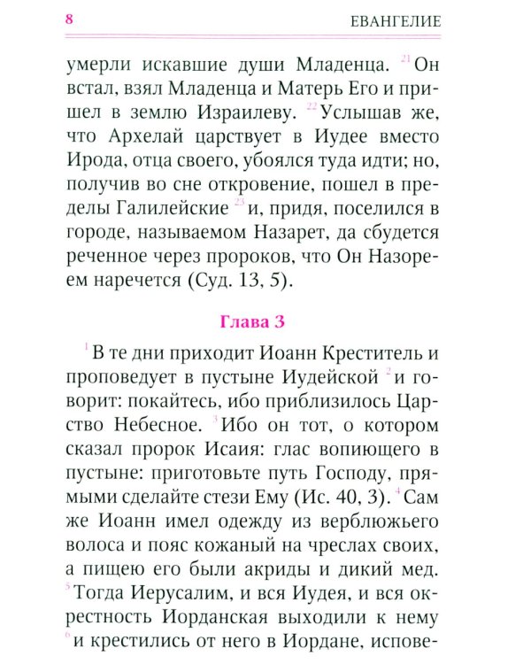 Святое Евангелие (с клапаном на магните, кожа, золот.тиснен.) (коричневый)