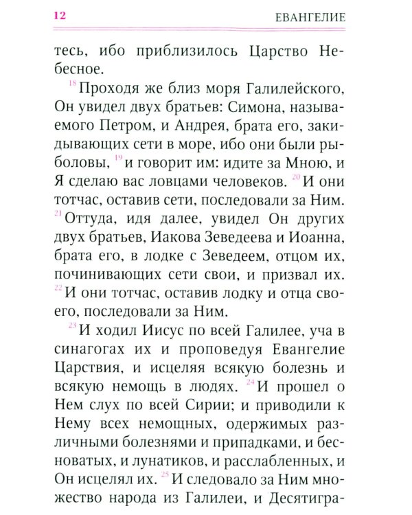 Святое Евангелие (с клапаном на магните, кожа, золот.тиснен.) (коричневый)