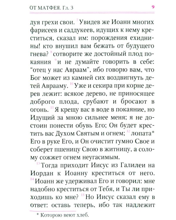 Святое Евангелие (с клапаном на магните, кожа, золот.тиснен.) (коричневый)