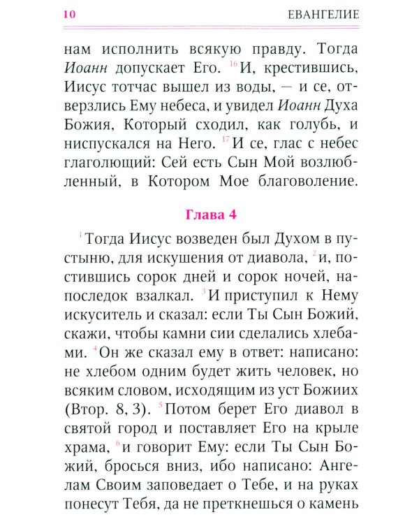 Святое Евангелие (с клапаном на магните, кожа, золот.тиснен.) (коричневый)