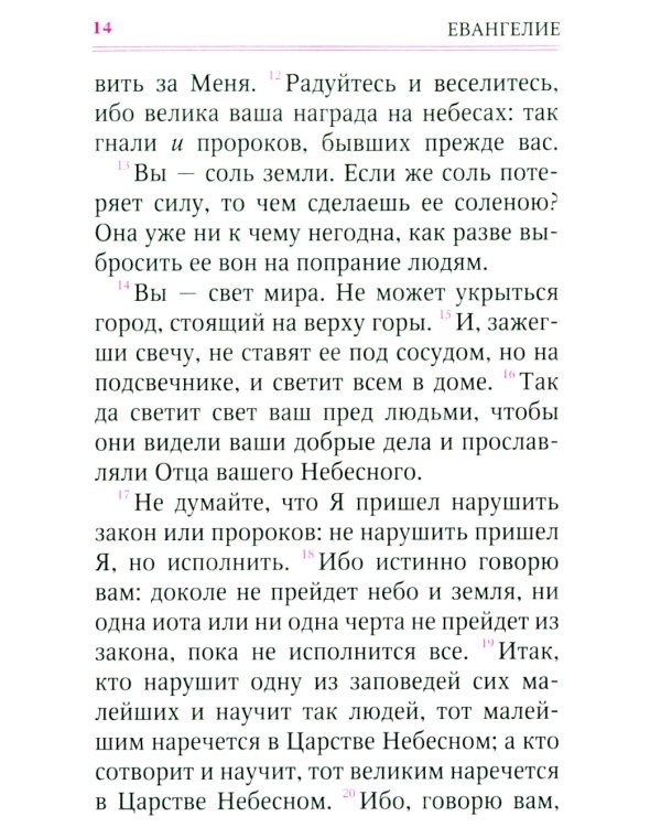 Святое Евангелие (с клапаном на магните, кожа, золот.тиснен.) (коричневый)