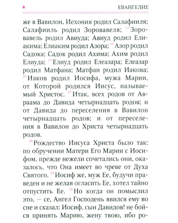 Святое Евангелие (с клапаном на магните, кожа, золот.тиснен.) (коричневый)