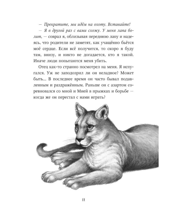 Тайна Холли