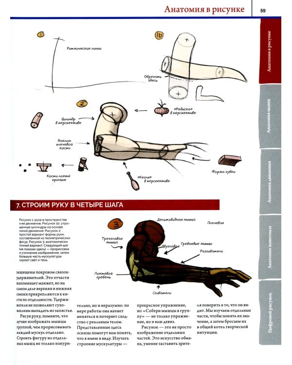 Анатомия. Создание реалистичных людей и животных. (+ мастер-классы по QR-коду)