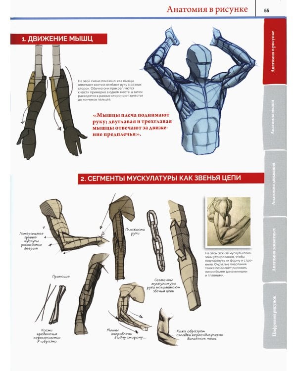Анатомия. Создание реалистичных людей и животных. (+ мастер-классы по QR-коду)