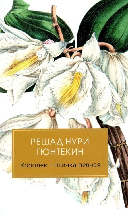 Королек - птичка певчая