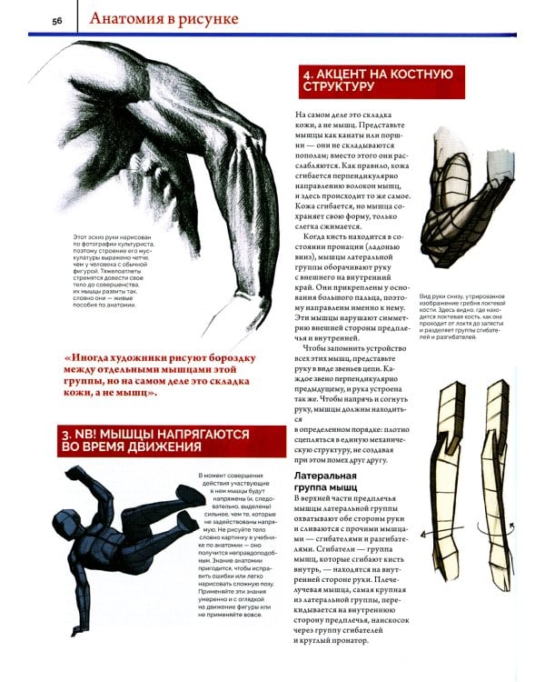 Анатомия. Создание реалистичных людей и животных. (+ мастер-классы по QR-коду)