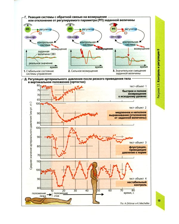 Наглядная физиология. 4-е изд