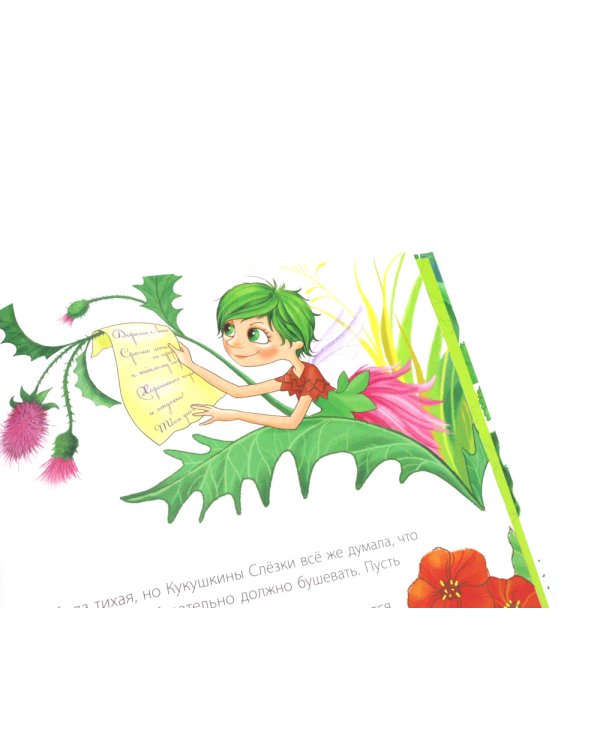 Цветочные феечки (комплект из 4-х книг)