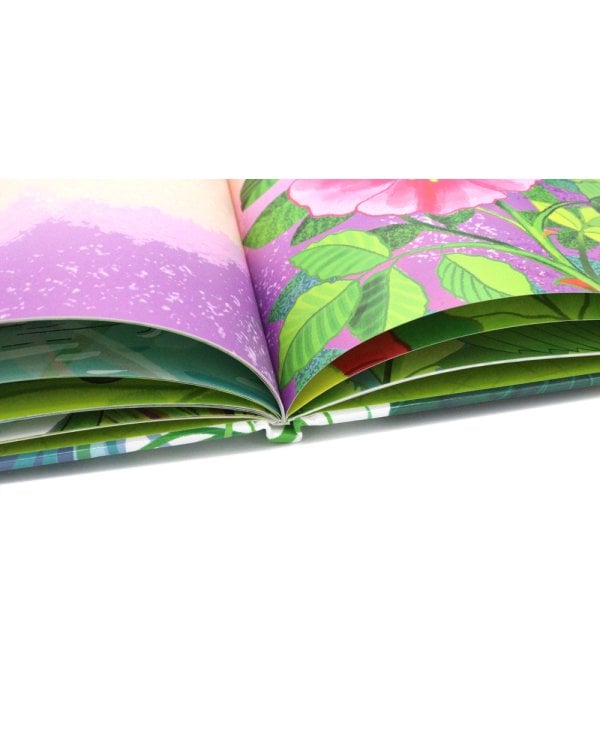 Цветочные феечки (комплект из 4-х книг)