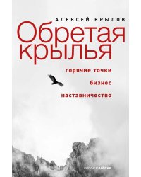 Обретая крылья. Горячие точки - бизнес - наставничество