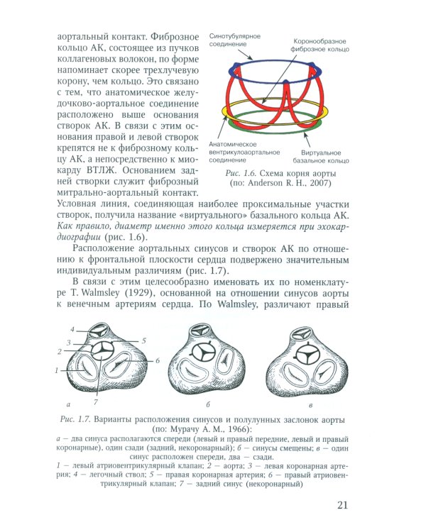 Пороки сердца: порок аортального клапана