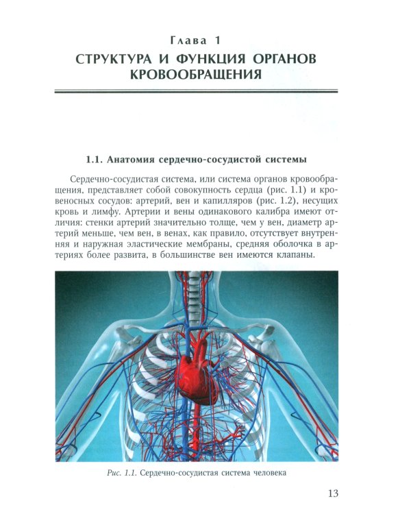 Пороки сердца: порок аортального клапана