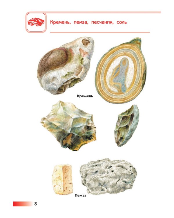 От земли до неба. Атлас-определитель: книга для учащихся начальных классов. 12-е изд., стер