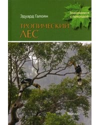 Тропический лес