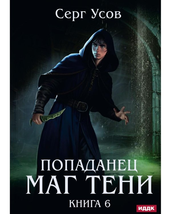 Попаданец. Маг Тени. Кн. 6