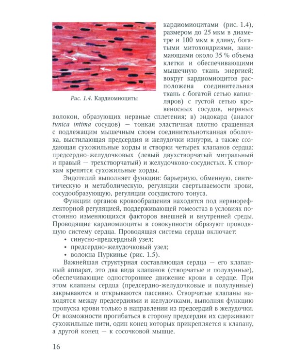 Пороки сердца: порок аортального клапана