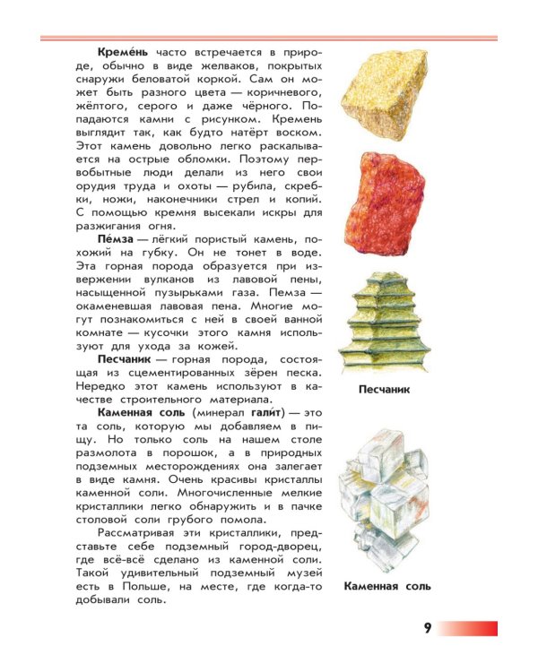 От земли до неба. Атлас-определитель: книга для учащихся начальных классов. 12-е изд., стер