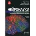 Нейронауки. Исследование мозга. В 3 т. Т. 2. Сенсорные и двигательные системы. 4-е изд Нейронауки. Исследование мозга. В 3 т. Т. 2. Сенсорные и двигательные системы. 4-е изд