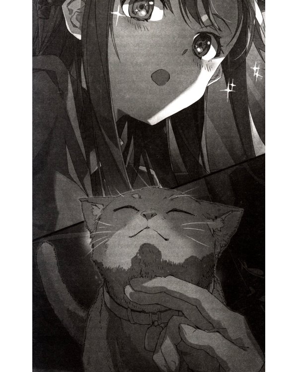 Sword Art Online. Т. 27: Unital Ring VI: ранобэ