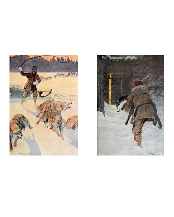 Дополнительное изображение книги «Закон великих снегов: романы, рассказы»