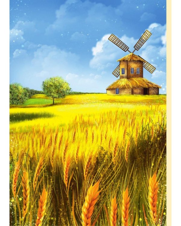 Дополнительное изображение книги «Olivetta. Storia che parla di bonta e mirracoli»