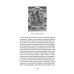 Боо и Бон. Древние шаманские традиции Сибири и Тибета в их отношении к учениям центральноазиатского будды. В 2 кн. Кн. 1