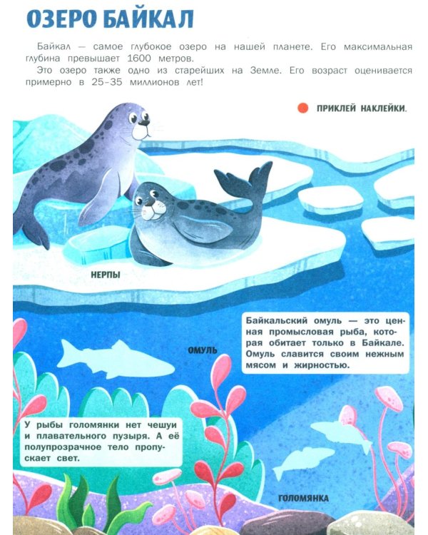Природа России: книжка с наклейками (35 наклеек - игры, раскраски, лабиринты)