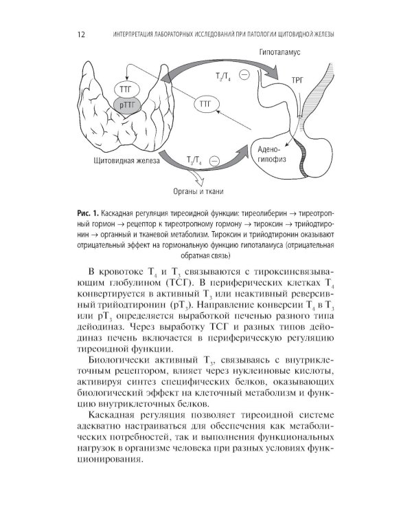 Интерпретация лабораторных исследований при патологии щитовидной железы