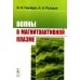 Волны в магнитоактивной плазме Волны в магнитоактивной плазме