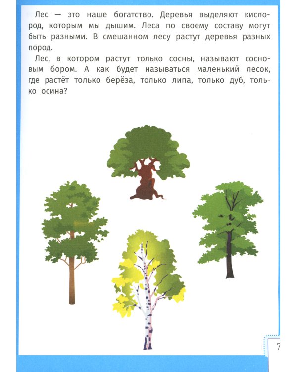 Умный ребенок: 5-6 лет. 14-е