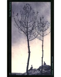 Собака за моим столом: роман