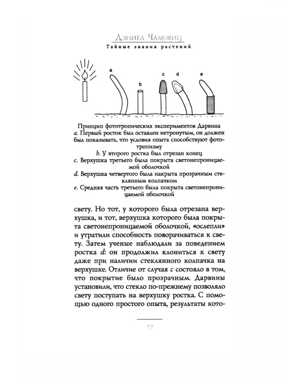 Тайные знания растений. Что видят, слышат и помнят цветы и деревья