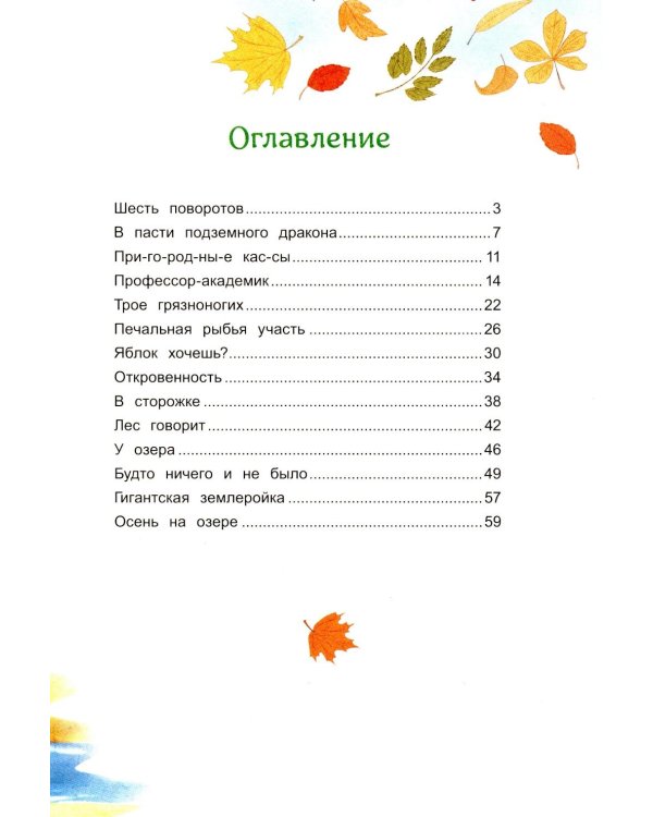 Дорога к Щучьему озеру