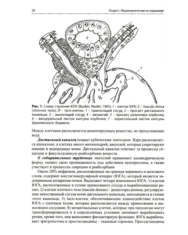 Клиническая лабораторная диагностика (методы и трактовка лабораторных исследований). 5-е изд