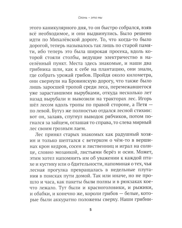 Огонь - это мы. Рассказы о земном и надземном