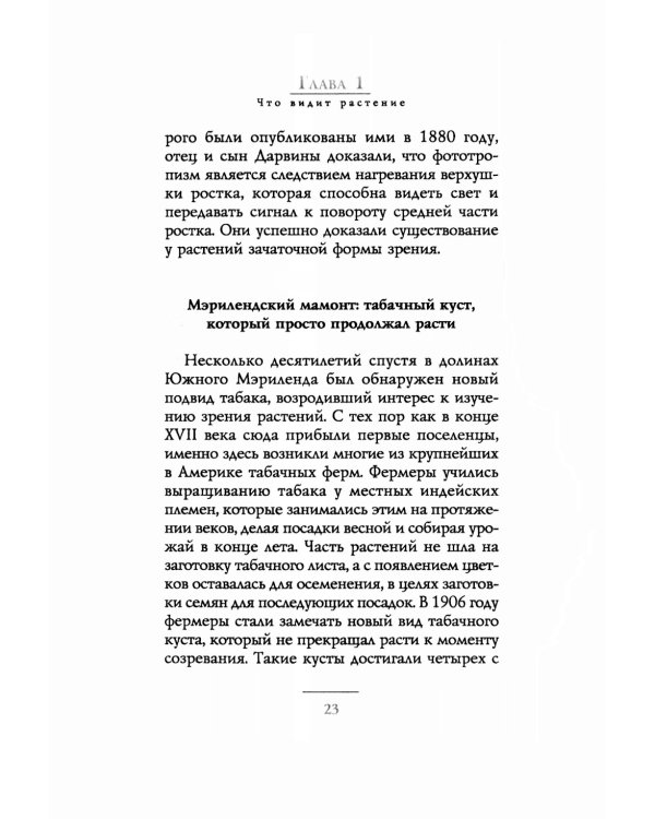 Тайные знания растений. Что видят, слышат и помнят цветы и деревья