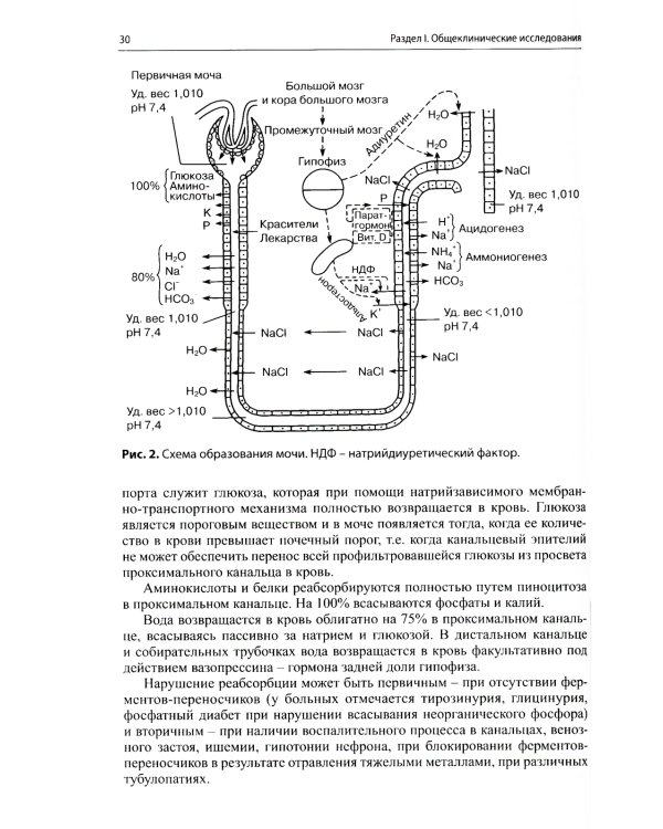 Клиническая лабораторная диагностика (методы и трактовка лабораторных исследований). 5-е изд
