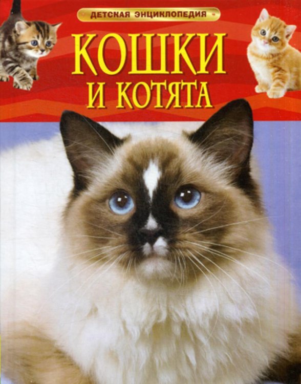 Кошки и котята: детская энциклопедия