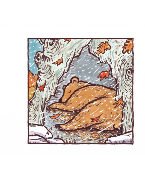 Большой медведь