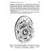 Учебник для медицинских колледжей и училищ Анатомия и физиология человека: Учебник. 3-е изд., перераб. и доп