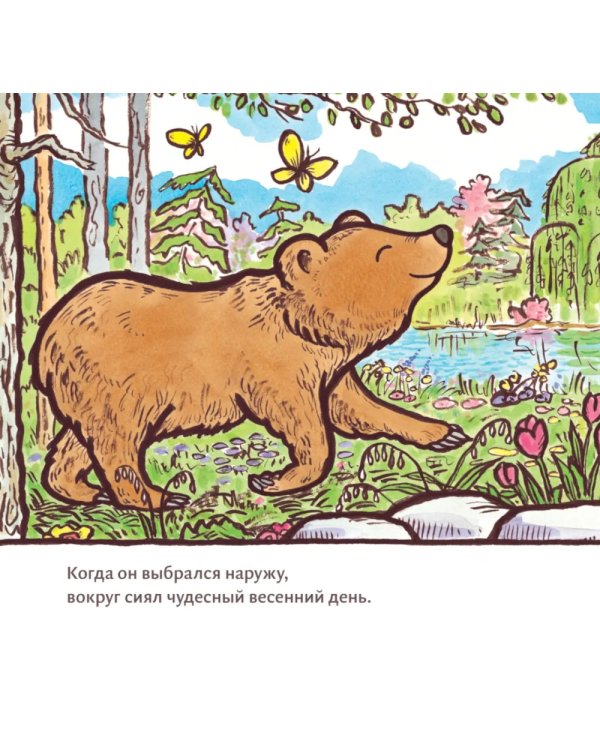 Большой медведь