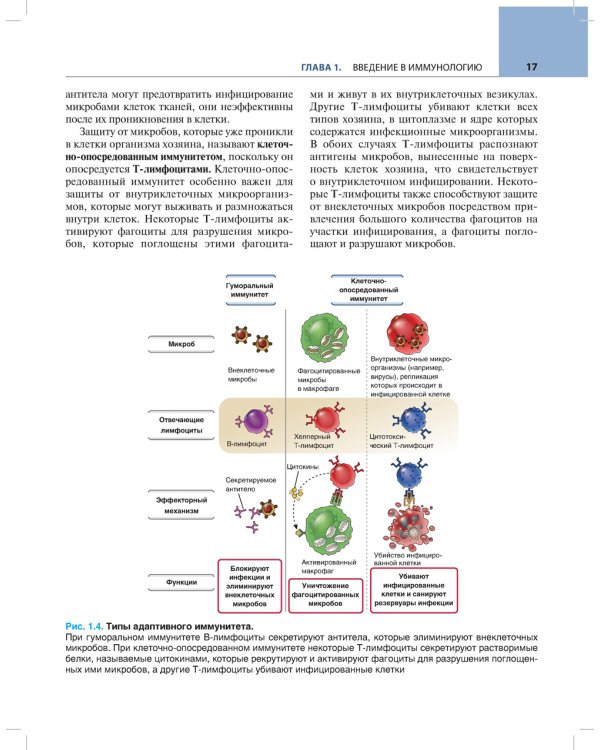 Основы иммунологии. Функции иммунной системы и их нарушения: Учебник