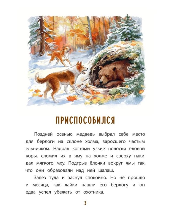 Дополнительное изображение книги «Лесной Колобок- колючий бок: сказки и рассказы»