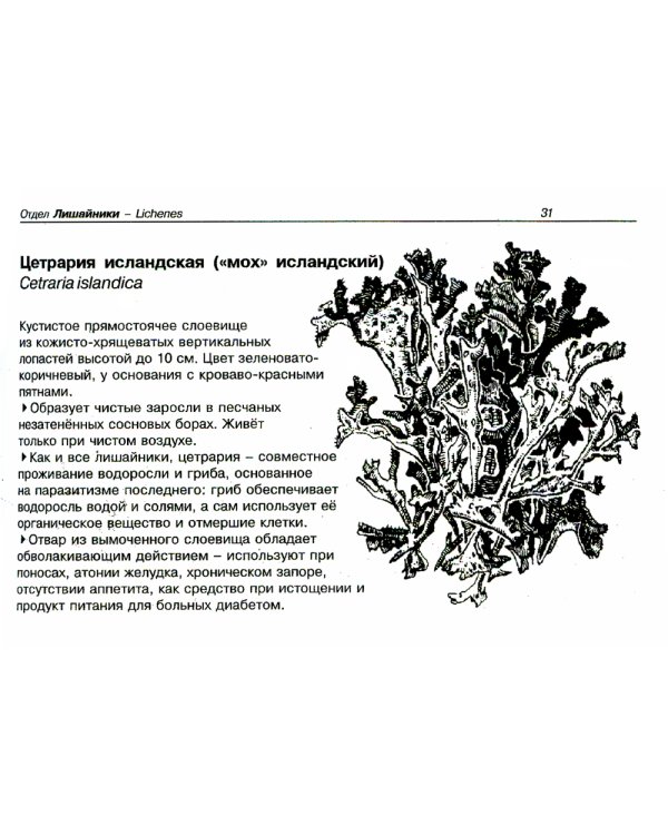 Лекарственные растения. Карманный определитель. 3-е изд, стер